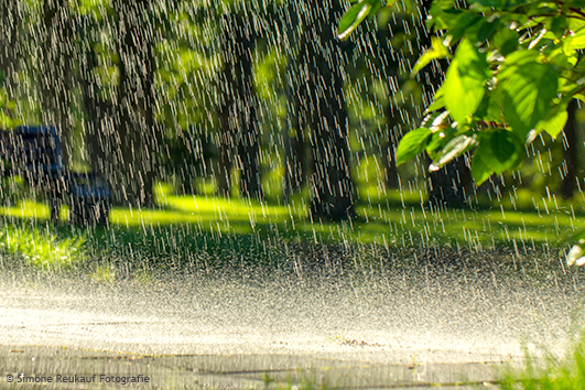 rain, asphalt, day, drop, puddle, street, water, weather, wet, falling, abstract, background, city, closeup, heavy, liquid, nature, rainy, reflection, road, storm, blue, climate, downpour, raindrop, ripple, splashing, spray, surface, light, outdoors, splash, droplet, river, seasons, life, motion, dark, fall, flood, raindrops, season, summer, texture, urban, sun, park, torrential, photography, green