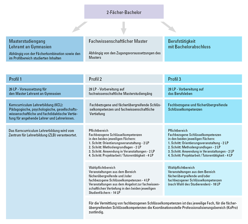 Grafik Profile Professionalisierungsbreich 2FB