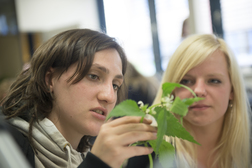 © Universität Osnabrück / Uwe Lewandowski